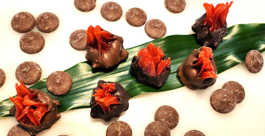 Chocolate Dipped Hibiscus Flowers - Elegant Florals Meet Decadent Chocolate